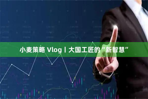 小麦策略 Vlog丨大国工匠的“新智慧”