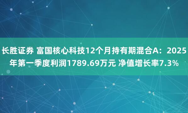 长胜证券 富国核心科技12个月持有期混合A：2025年第一季度利润1789.69万元 净值增长率7.3%