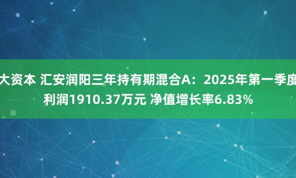 大资本 汇安润阳三年持有期混合A：2025年第一季度利润1910.37万元 净值增长率6.83%