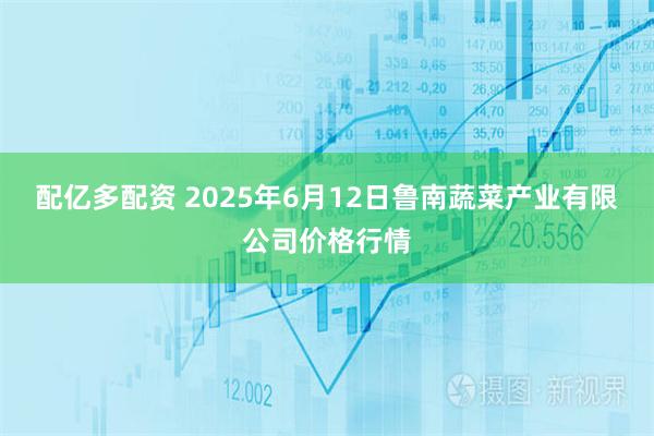 配亿多配资 2025年6月12日鲁南蔬菜产业有限公司价格行情